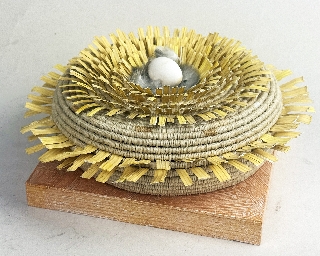Collage